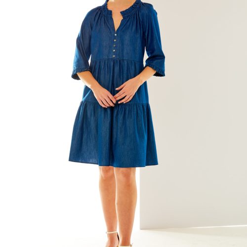 Woman in denim tencel dress